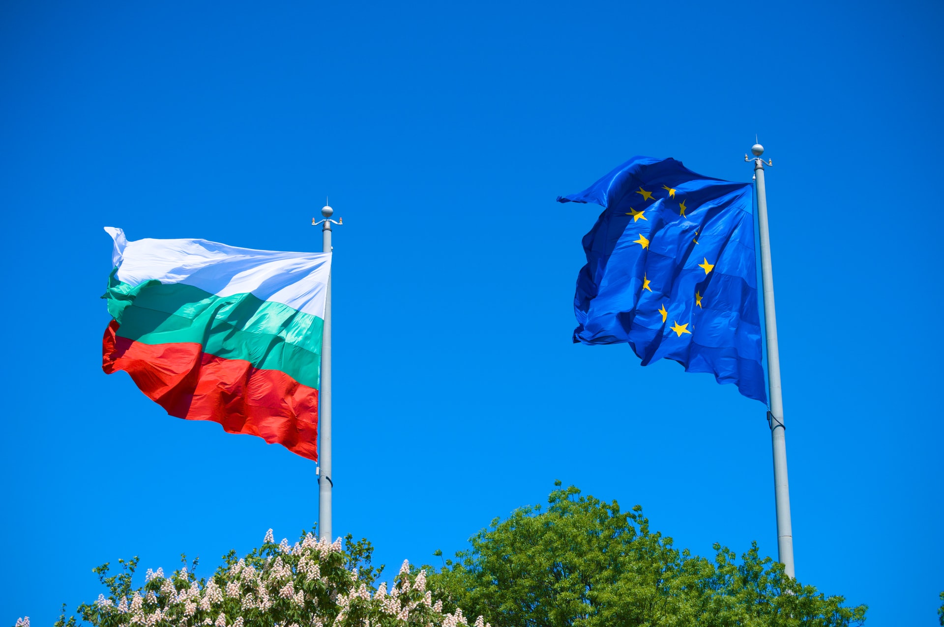 Bulgaria phone number
