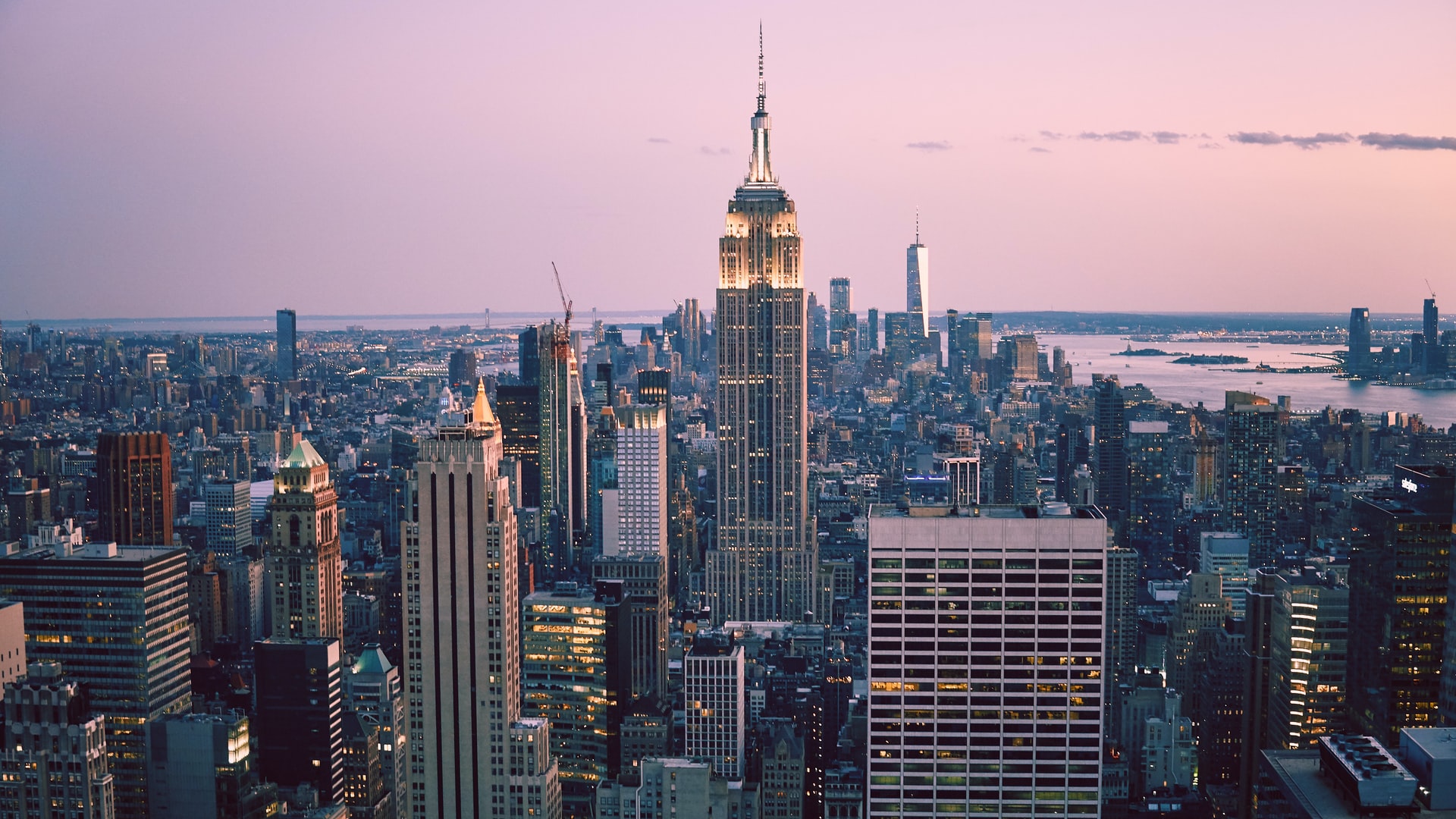 new york phone number