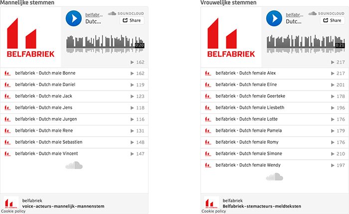 support voice-demo